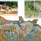Yala Leopard Mobile Camp