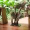 Amazonita Ecolodge