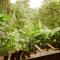 Amazonita Ecolodge