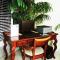 Emerald Shores Hotel - Daytona Beach