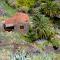 CASA RURAL LOS FRONTONES - San Sebastián de la Gomera