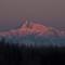 Talkeetna Fireweed Cabins