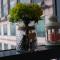 Luxury House - Taichung
