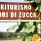 Agriturismo Fiori di Zucca