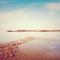 Hôtel Les Coutainvillaises photo 17