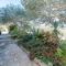 Apartments Petranic