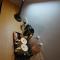 Super 8 Hotel @ Bayan Baru