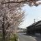 Guesthouse Mio