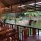 Bussaracum Resort - Kanchanaburi
