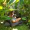 The Jungle House