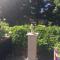 Otter Lodge Auchterarder