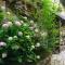 La Source, Beynac, Dordogne - 贝纳克和卡泽纳克