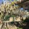 Le Petit Bastidon - Private pool - Gordes - 戈尔德