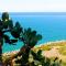 Mareblu