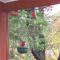 Bowral Road Art Gallery Bed and Breakfast