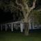 Monte das Faias Cork Farm Hotel