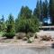 Mother Lode Motel