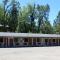 Mother Lode Motel