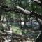 River Bluff Cabins