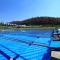 Dorados Conventions & Resort