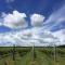 Romantic Vineyard getaway