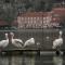 Foto: Hotel Kastoria in Kastoria City 15/67