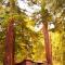 Redwoods River Resort & Campground - Leggett