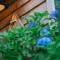 Onsen Guesthouse HAKONE TENT