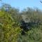 TreeTops Inn