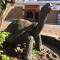 Foto: New Galapagos Hostelling