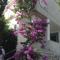 Guesthouse Punta Mira - Beachfront