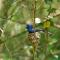 Big Game - Wilpattu by Eco Team - Wilpattu
