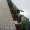Apartament Saguna