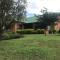 Olive Tree Farm