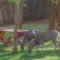 Whispering Pine Cabins