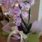 Albergo Natucci
