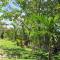 Celtis Resort