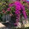 Biru Meno Beach Bungalows