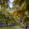 Entre Bosques Tayrona