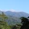 Foto: Mossman Gorge Bed and Breakfast 46/61