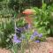 Ecrin de Verdure
