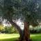 Dimitriou Rooms