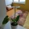 Foto: Cozy & Charming Apartment 4/16