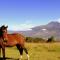 Hostería Hacienda Pinsaqui - Otavalo