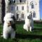 Le manoir de Sanilhac photo 11