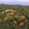 Hôtel Niyagala Lodge Sigiriya - Sigiriya
