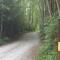 A Tiny Escape - Roberts Creek