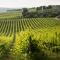 Tenuta Di Monaciano