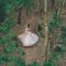 Whispering Pines Country Estate