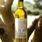 Mas de Canfier - Robion en Luberon